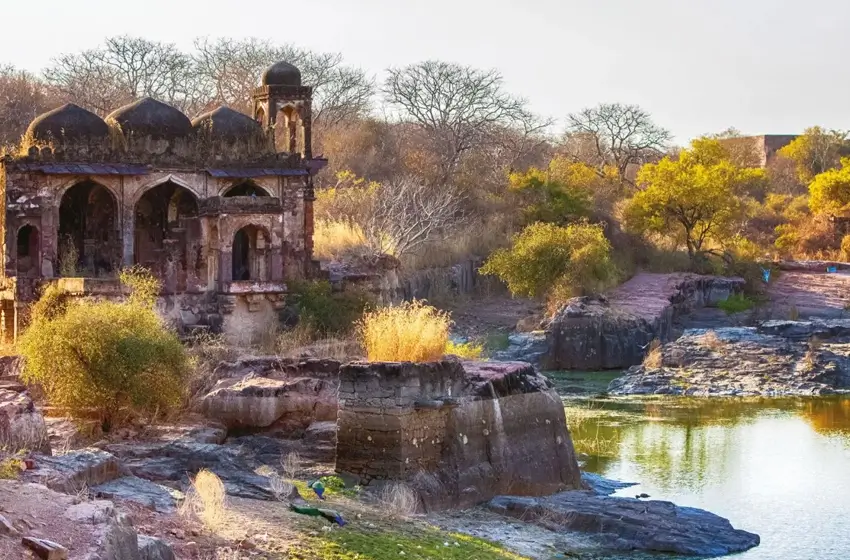 Ranthambore to Jaipur – Enter the Pink City